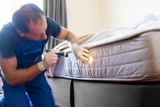 Best Fumigation Services  in The Woodlands, TX